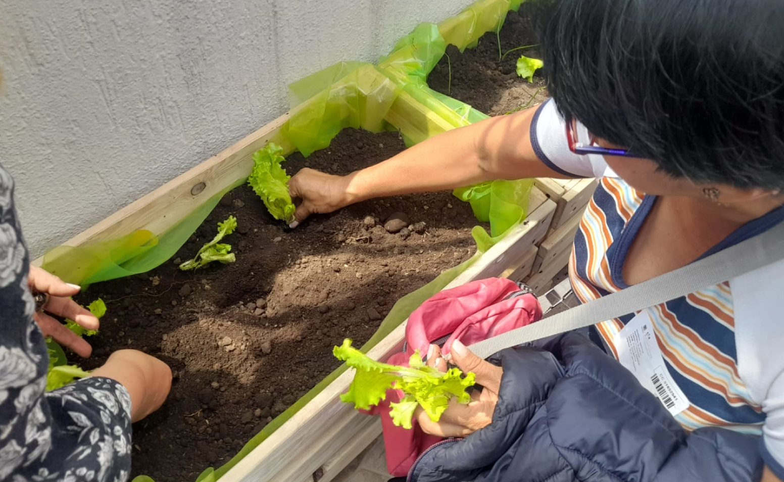 Mujer realizando actividades de agricultura urbana y periurbana