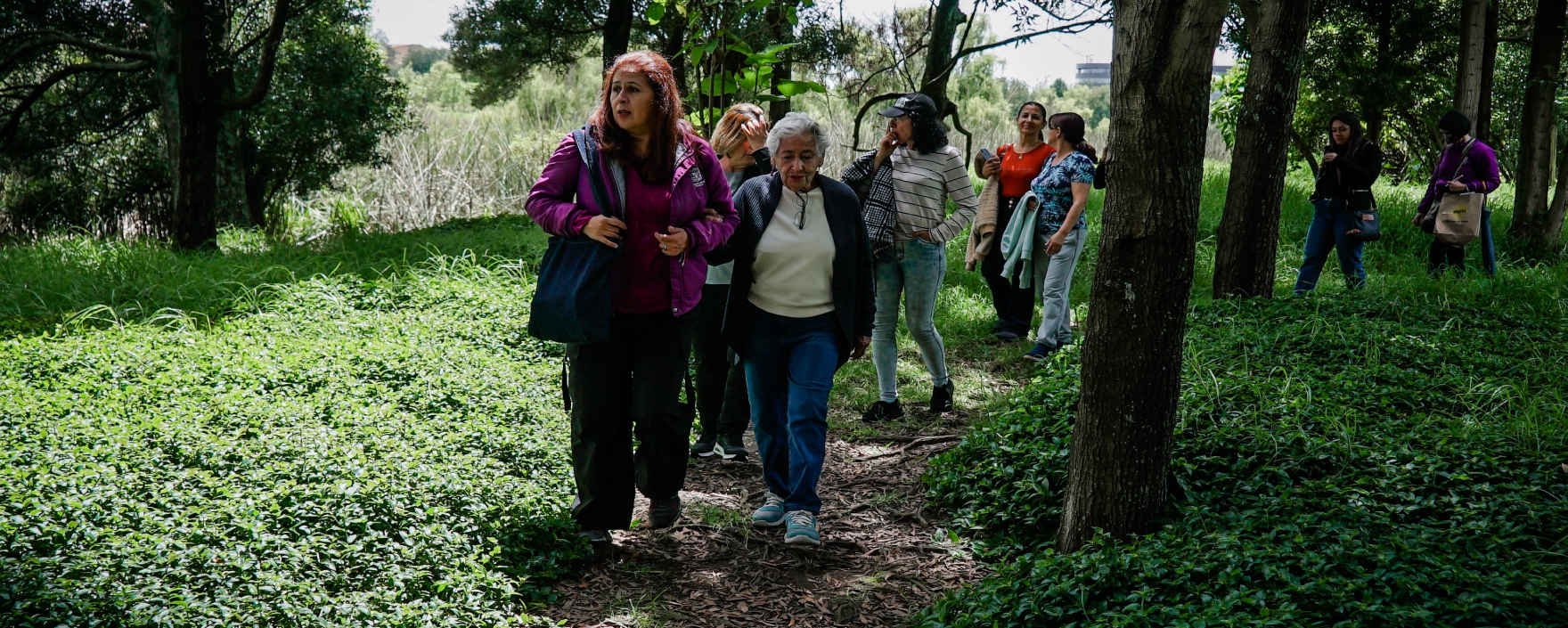 Mujeres en caminata ecológica