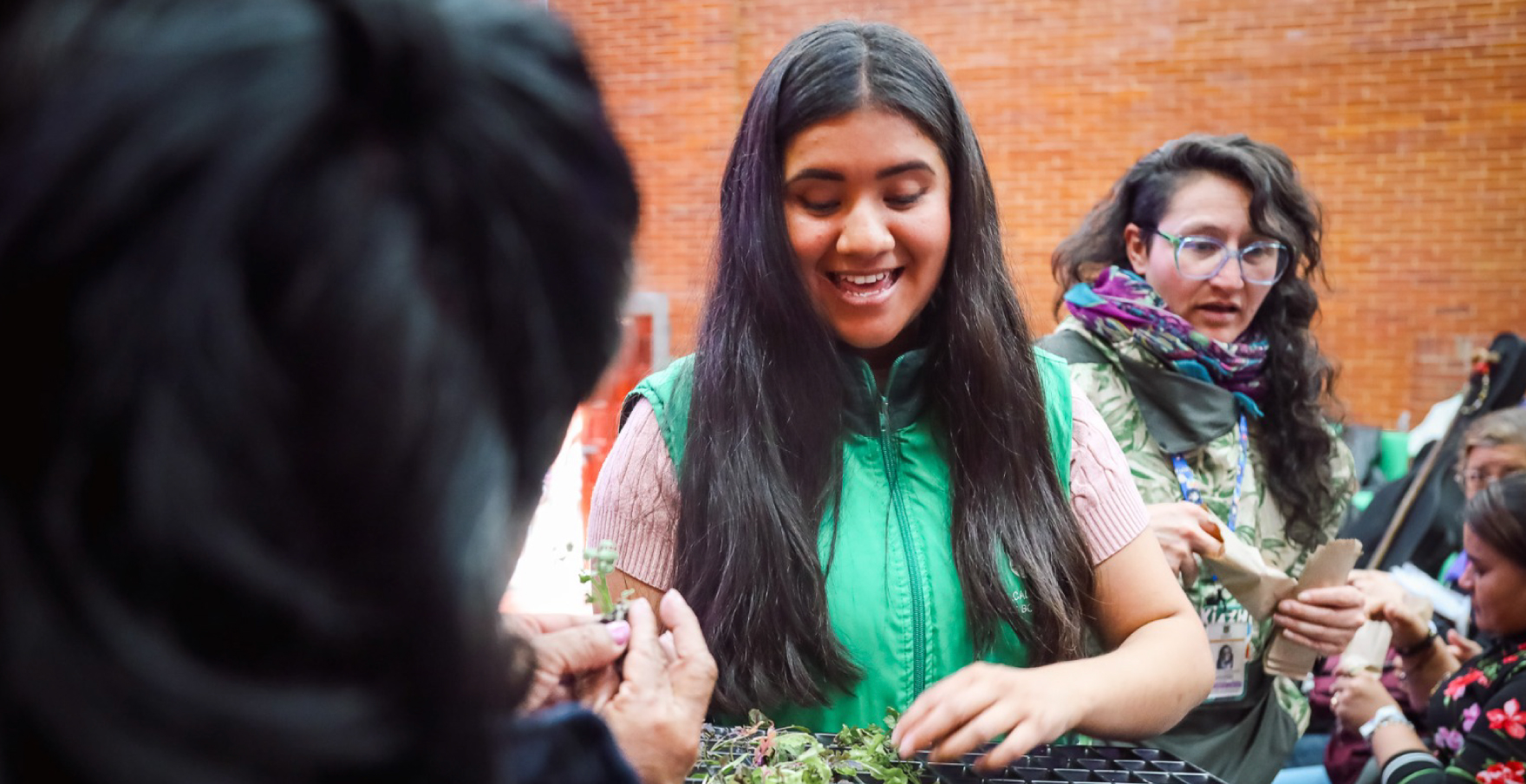 Mujeres en emprendimientos