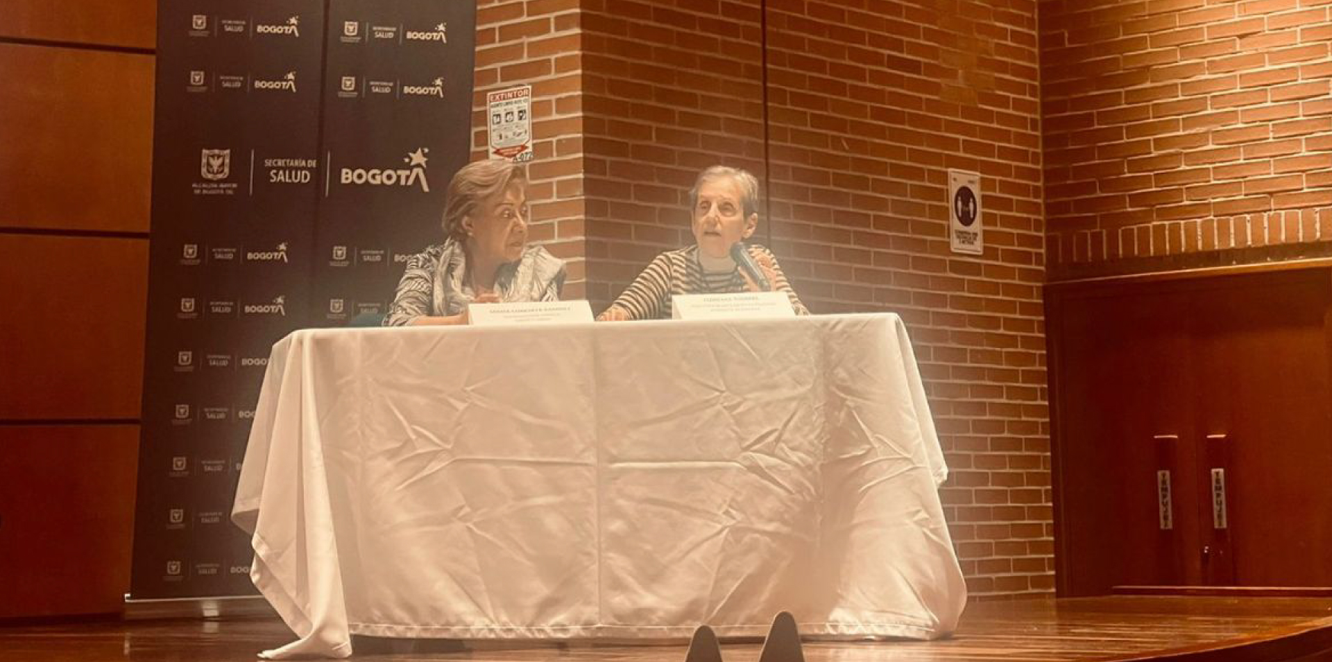 Mujeres asistentes a evento de el Auditorio Principal de la Secretaría de Salud