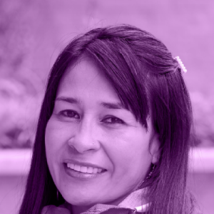 Imagen de apoyo de  Plan de Igualdad de Oportunidades para la Equidad de Género del Distrito Capital