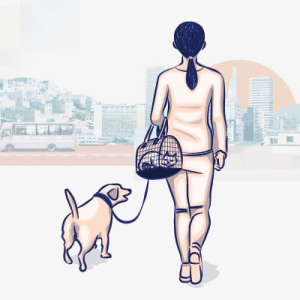 Imagen de apoyo de  Violencias Interrelacionadas:Una caracterización del vínculo entre las violencias basadas en género y las violencias hacia los animales en Bogotá.