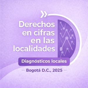 Imagen de apoyo de  Diagnósticos locales - Puente Aranda (2025)