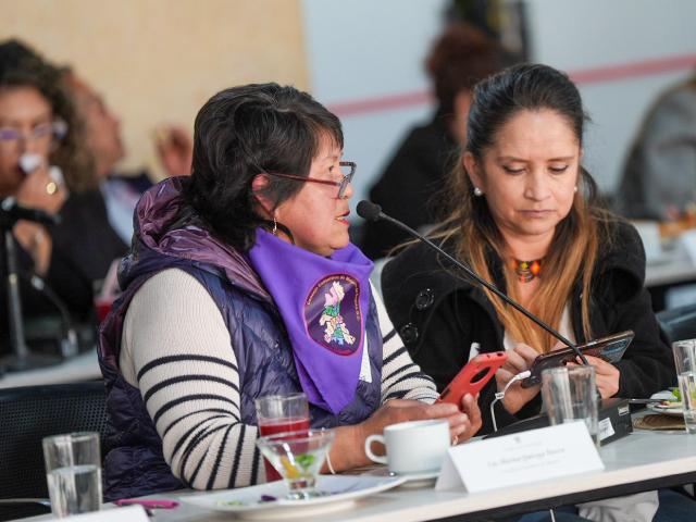 Mujeres consultivas